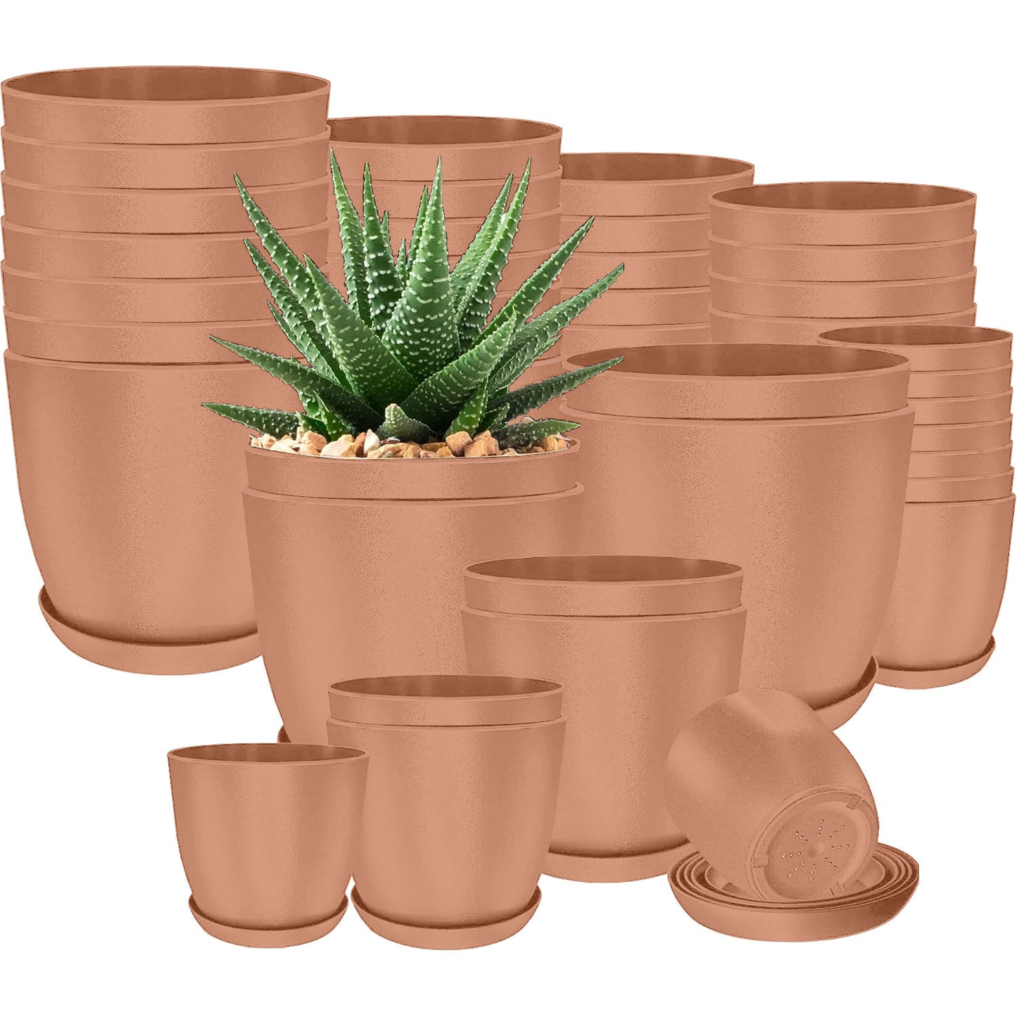 40-Pack Versatile White Plastic Plant Pots with Drainage – Perfect for Indoor Plants, Cacti, Succulents & More!