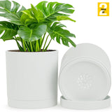6-Inch Plastic Planter Pots – Cylindrical Stylish, Durable & Plant-Friendly with Drainage & Seamless Saucers