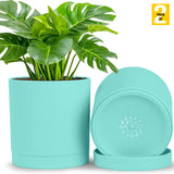 6-Inch Plastic Planter Pots – Cylindrical Stylish, Durable & Plant-Friendly with Drainage & Seamless Saucers