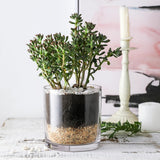 3.7-Inch Clear Plastic Acrylic Cylinder Vases - Versatile Centerpieces for Home, Weddings & Parties