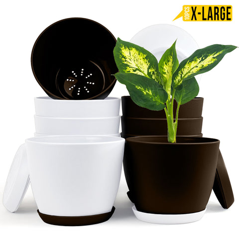 badgeElevate Your Space with Fast Forward Extra Large Plant Pots: Two Vibrant Colors, Drainage, Perfect for Indoor Planters - Explore Multi-Packs for Plastic Planters, Cactus, and Succulents Decor Fast Forward