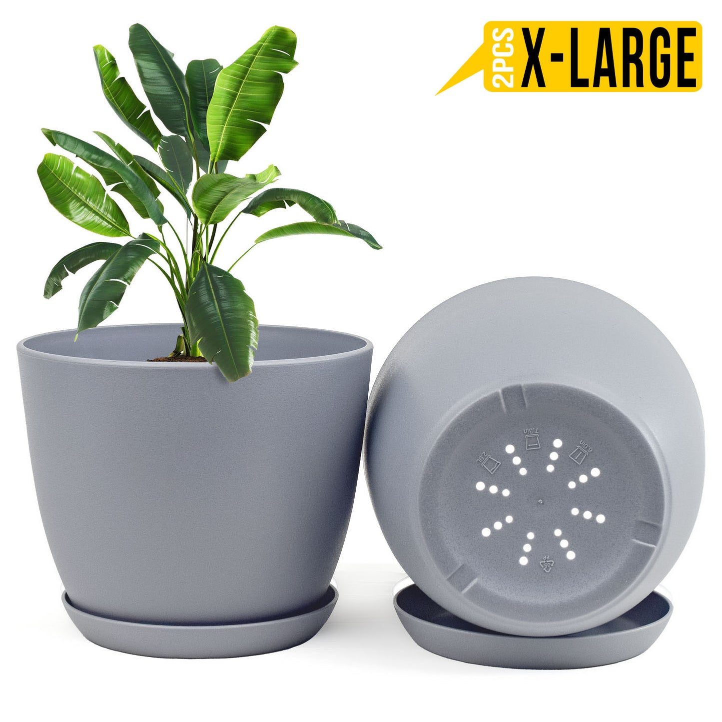 Enhance Your Space with Fast Forward Extra Large Plant Pots – Perfect Home Decor for Indoor and Outdoor Planters with Drainage - Explore Multi-Packs of Plastic Planters for Cactus and Succulents in Six Vibrant Colors Fast Forward