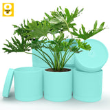 6-Inch Plastic Planter Pots – Cylindrical Stylish, Durable & Plant-Friendly with Drainage & Seamless Saucers