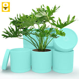 6-Inch Plastic Planter Pots – Cylindrical Stylish, Durable & Plant-Friendly with Drainage & Seamless Saucers