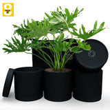 6-Inch Plastic Planter Pots – Cylindrical Stylish, Durable & Plant-Friendly with Drainage & Seamless Saucers