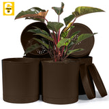 6-Inch Plastic Planter Pots – Cylindrical Stylish, Durable & Plant-Friendly with Drainage & Seamless Saucers