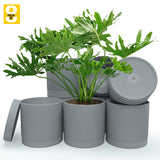 6-Inch Plastic Planter Pots – Cylindrical Stylish, Durable & Plant-Friendly with Drainage & Seamless Saucers
