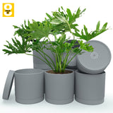 6-Inch Plastic Planter Pots – Cylindrical Stylish, Durable & Plant-Friendly with Drainage & Seamless Saucers