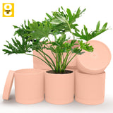 6-Inch Plastic Planter Pots – Cylindrical Stylish, Durable & Plant-Friendly with Drainage & Seamless Saucers