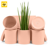 6-Inch Plastic Planter Pots – Cylindrical Stylish, Durable & Plant-Friendly with Drainage & Seamless Saucers