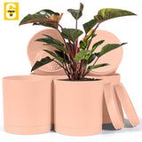 6-Inch Plastic Planter Pots – Cylindrical Stylish, Durable & Plant-Friendly with Drainage & Seamless Saucers