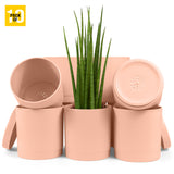 6-Inch Plastic Planter Pots – Cylindrical Stylish, Durable & Plant-Friendly with Drainage & Seamless Saucers