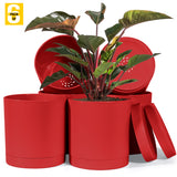 6-Inch Plastic Planter Pots – Cylindrical Stylish, Durable & Plant-Friendly with Drainage & Seamless Saucers