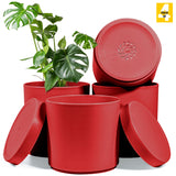 6-Inch Plastic Planter Pots – Cylindrical Stylish, Durable & Plant-Friendly with Drainage & Seamless Saucers