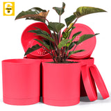 6-Inch Plastic Planter Pots – Cylindrical Stylish, Durable & Plant-Friendly with Drainage & Seamless Saucers
