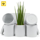 6-Inch Plastic Planter Pots – Cylindrical Stylish, Durable & Plant-Friendly with Drainage & Seamless Saucers