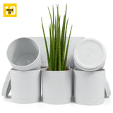 6-Inch Plastic Planter Pots – Cylindrical Stylish, Durable & Plant-Friendly with Drainage & Seamless Saucers