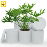 6-Inch Plastic Planter Pots – Cylindrical Stylish, Durable & Plant-Friendly with Drainage & Seamless Saucers