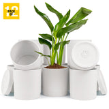 6-Inch Plastic Planter Pots – Cylindrical Stylish, Durable & Plant-Friendly with Drainage & Seamless Saucers