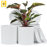 6-Inch Plastic Planter Pots – Cylindrical Stylish, Durable & Plant-Friendly with Drainage & Seamless Saucers