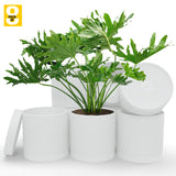6-Inch Plastic Planter Pots – Cylindrical Stylish, Durable & Plant-Friendly with Drainage & Seamless Saucers