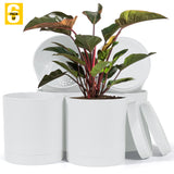 6-Inch Plastic Planter Pots – Cylindrical Stylish, Durable & Plant-Friendly with Drainage & Seamless Saucers