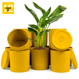 6-Inch Plastic Planter Pots – Cylindrical Stylish, Durable & Plant-Friendly with Drainage & Seamless Saucers