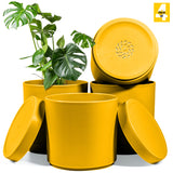 6-Inch Plastic Planter Pots – Cylindrical Stylish, Durable & Plant-Friendly with Drainage & Seamless Saucers
