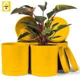 6-Inch Plastic Planter Pots – Cylindrical Stylish, Durable & Plant-Friendly with Drainage & Seamless Saucers