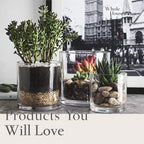 3.7-Inch Clear Plastic Acrylic Cylinder Vases - Versatile Centerpieces for Home, Weddings & Parties