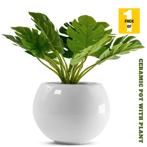 Elegant Round Shaped Ceramic Vase - Modern Home Decor Accent, 1 Piece (With Plant)