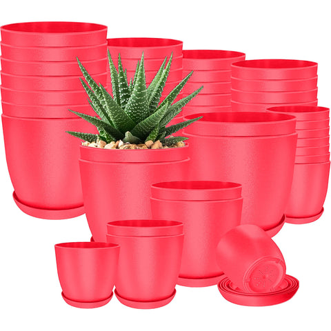 40-Pack Versatile White Plastic Plant Pots with Drainage – Perfect for Indoor Plants, Cacti, Succulents & More!