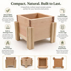 Fast Forward Natural Wooden Raised Planter Box with Drainage Holes | Mini Square Planter for Herbs, Flowers & Succulents