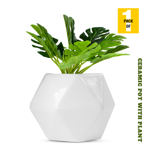 Elegant Round Shaped Ceramic Vase - Modern Home Decor Accent, 1 Piece (With Plant)