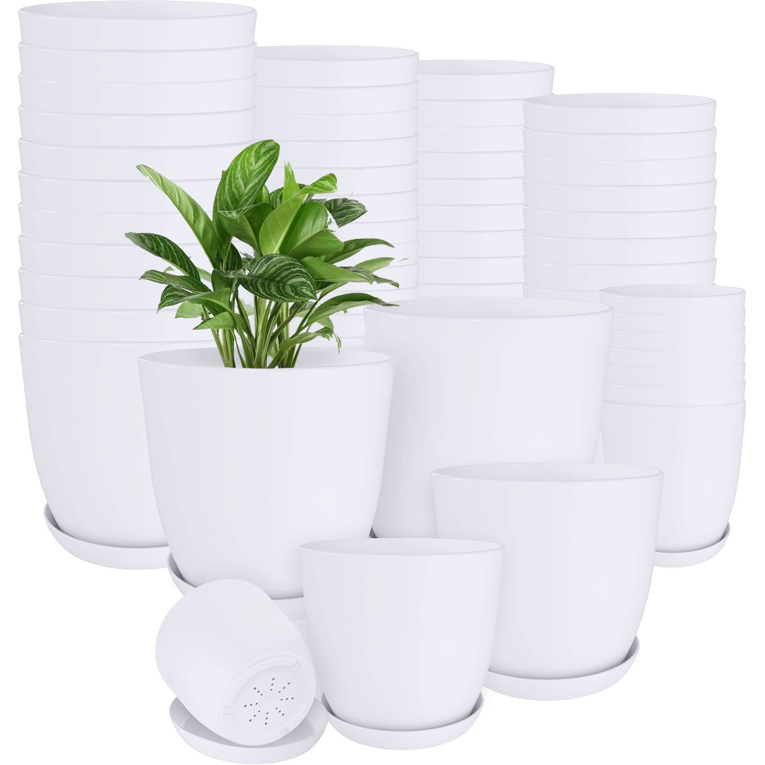 60-Pack Versatile White Plastic Plant Pots with Drainage – Perfect for Indoor Plants, Cacti, Succulents & More!