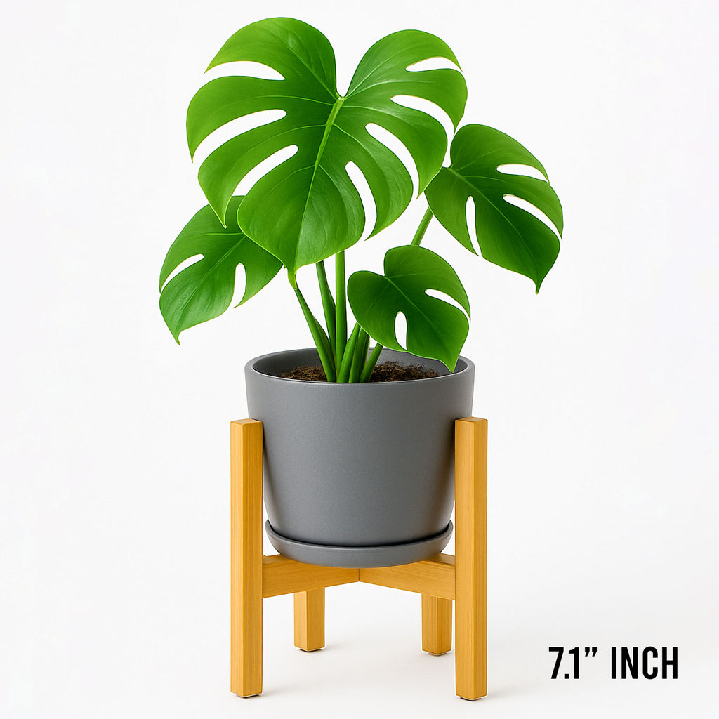 Natural Bamboo Wooden Stand - Elevate Your Greenery with Style  Indoor Plant Stand (Pots Not Included)
