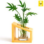 Hydroponic Plant Cultivation Station with Pure Wooden Stand & Transparent 6-Inch Acrylic Vase for Indoor Plants, Home & Office Decor