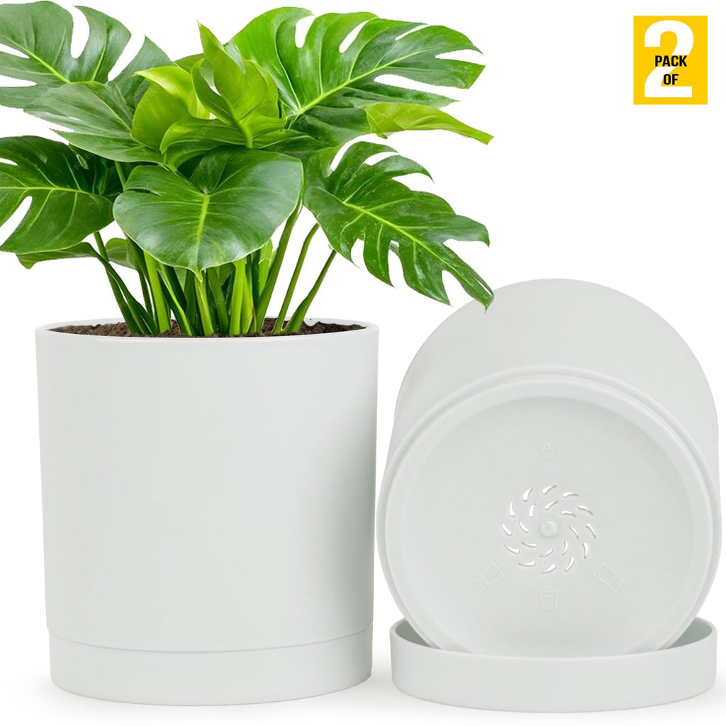 6-Inch Plastic Planter Pots – Cylindrical Stylish, Durable & Plant-Friendly with Drainage & Seamless Saucers