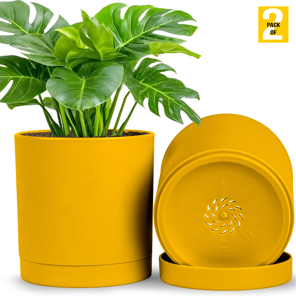 6-Inch Plastic Planter Pots – Cylindrical Stylish, Durable & Plant-Friendly with Drainage & Seamless Saucers