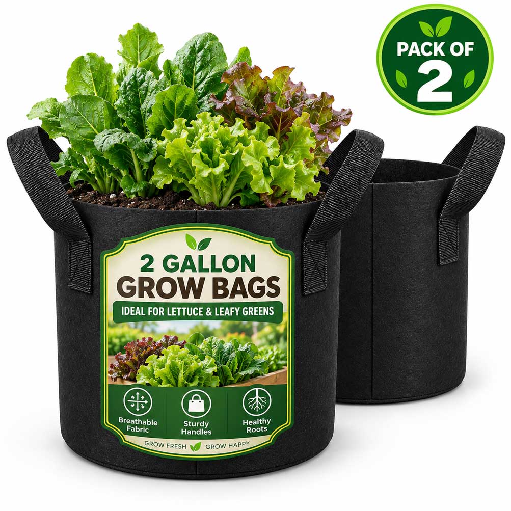 Heavy Duty Nonwoven Fabric Grow Bags with Handles – Pack of 2