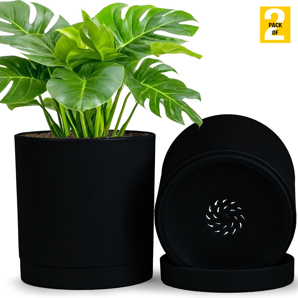 6-Inch Plastic Planter Pots – Cylindrical Stylish, Durable & Plant-Friendly with Drainage & Seamless Saucers