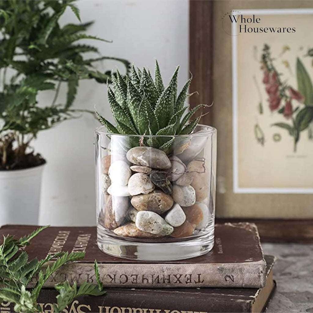 3.7-Inch Clear Plastic Acrylic Cylinder Vases - Versatile Centerpieces for Home, Weddings & Parties