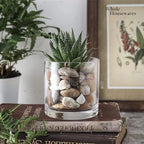 3.7-Inch Clear Plastic Acrylic Cylinder Vases - Versatile Centerpieces for Home, Weddings & Parties