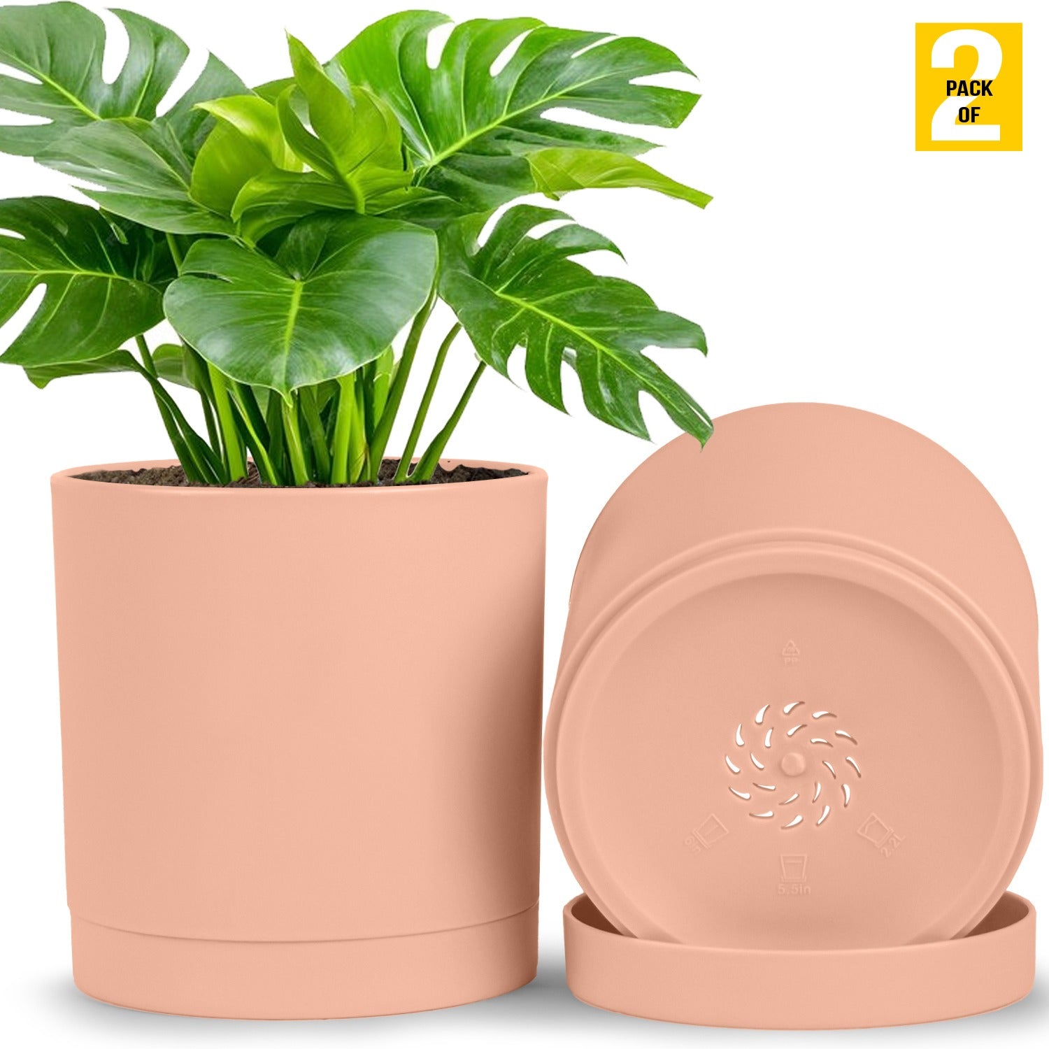 6-Inch Plastic Planter Pots – Cylindrical Stylish, Durable & Plant-Friendly with Drainage & Seamless Saucers