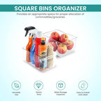 Fast Forward Organizer Bins Clear Fridge Organization