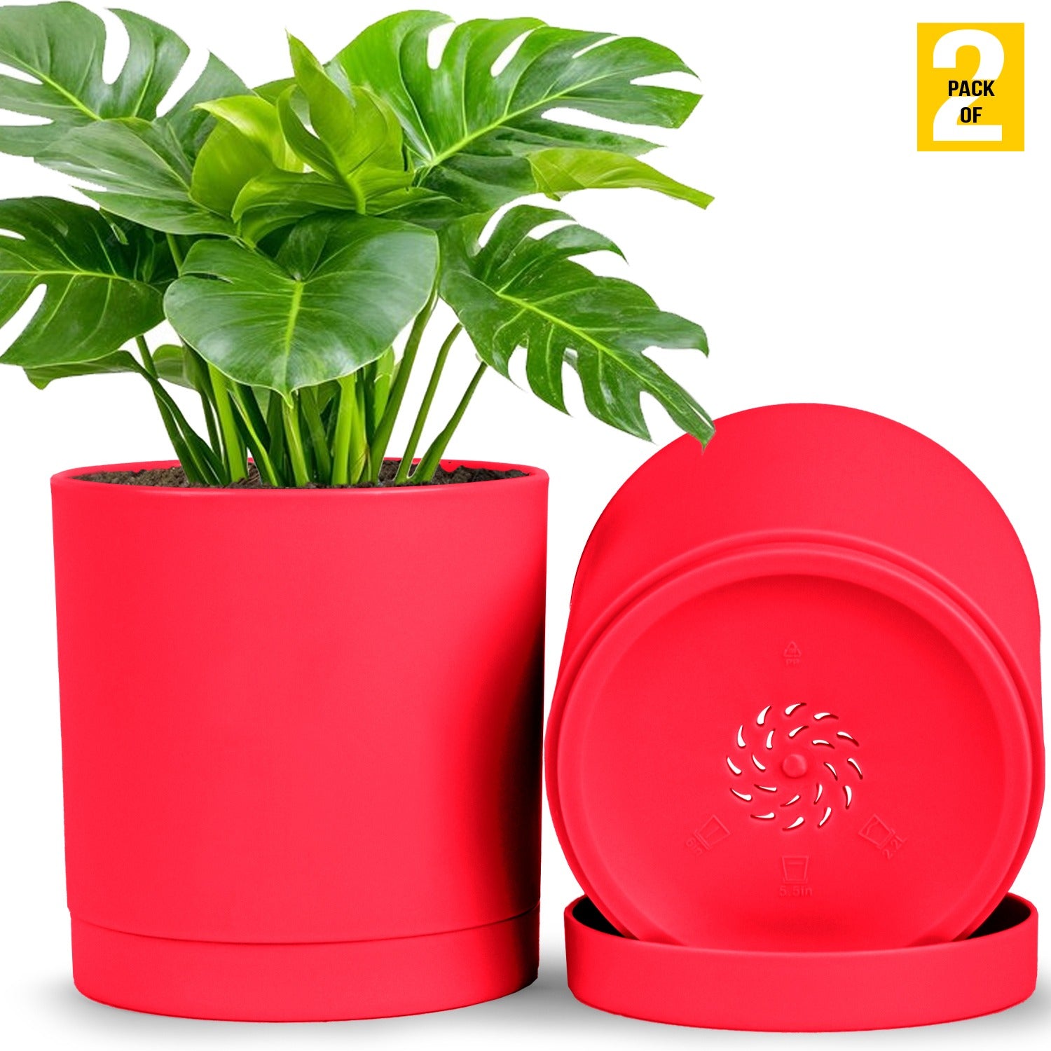 6-Inch Plastic Planter Pots – Cylindrical Stylish, Durable & Plant-Friendly with Drainage & Seamless Saucers