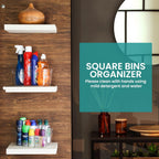 Fast Forward Organizer Bins Clear Fridge Organization
