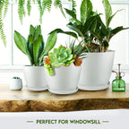 5pcs Modern Plastic Flower Pot Set with Drainage Holes & Trays, Indoor Outdoor Plant Pots for Home, Balcony & Garden