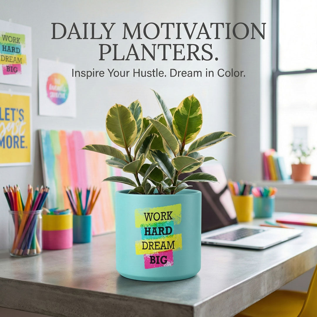 6-Inch Sticker Planter Pots with Drainage & Saucers, Trendy Custom Design Cylindrical Flower Pots for Indoor Plants & Home Decor
