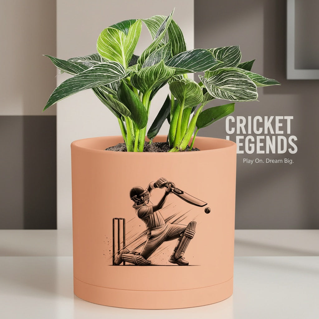 Modern Art Planter Pots with Drainage & Saucer 6-Inch – Custom Trendy Designs